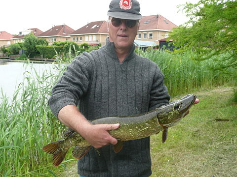 Ronald Ducardus met een snoek op de boilie tijdens de SKP Wedstrijd